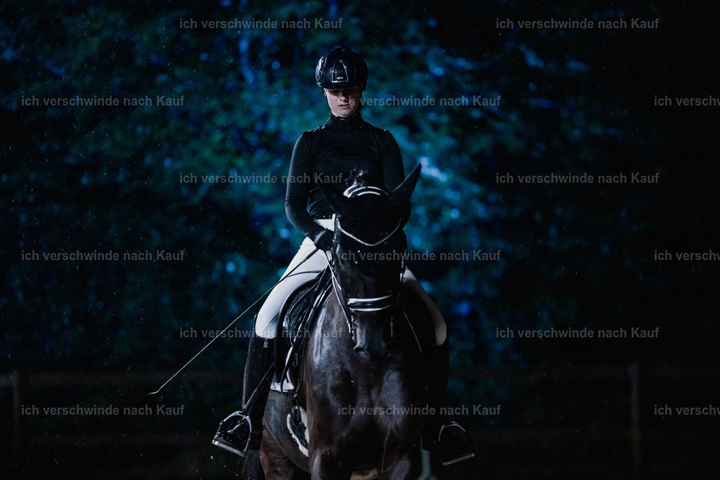 FHClassics-110 | working equitationturnier fotograf videograf stoibphotography marixx film working equitation deutschland reitsport turnierfotografie eventfotografie equestrian events
