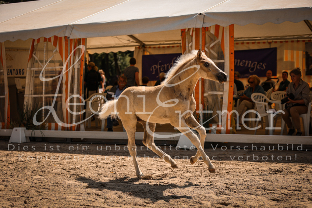 06.DoH00094 | Leoni Ertmer Photography - Realisiert mit Pictrs.com