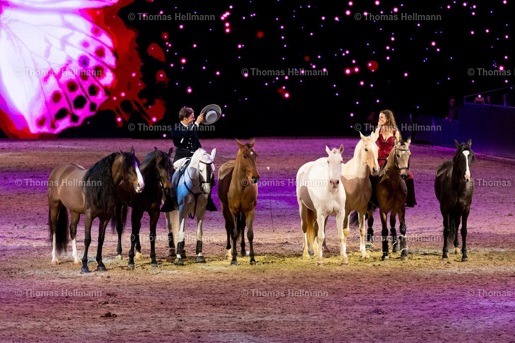 TH_Hop Top Show_26997 | EQUITANA 2025 am 09.03.25 in Essen