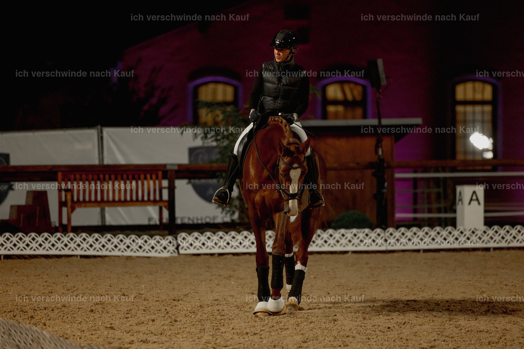 FHClassics-3 | working equitationturnier fotograf videograf stoibphotography marixx film working equitation deutschland reitsport turnierfotografie eventfotografie equestrian events