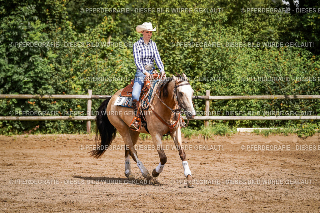 DSC08352 | Pferdegrafie