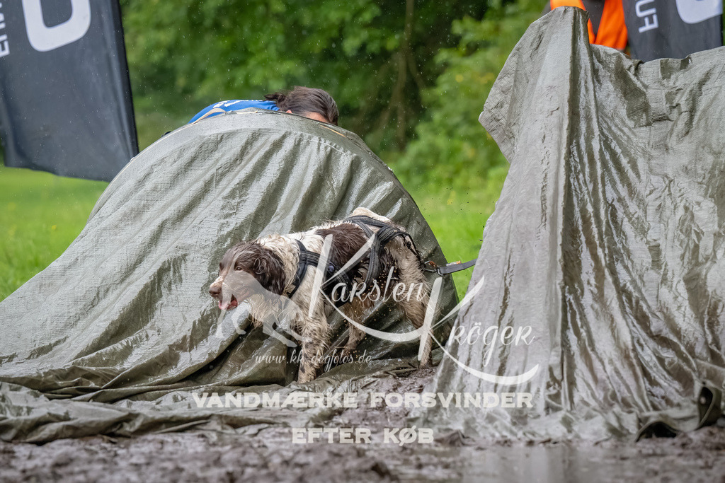 0938_ZZ91499-Bearbeitet-2 | kk-dogfotos
