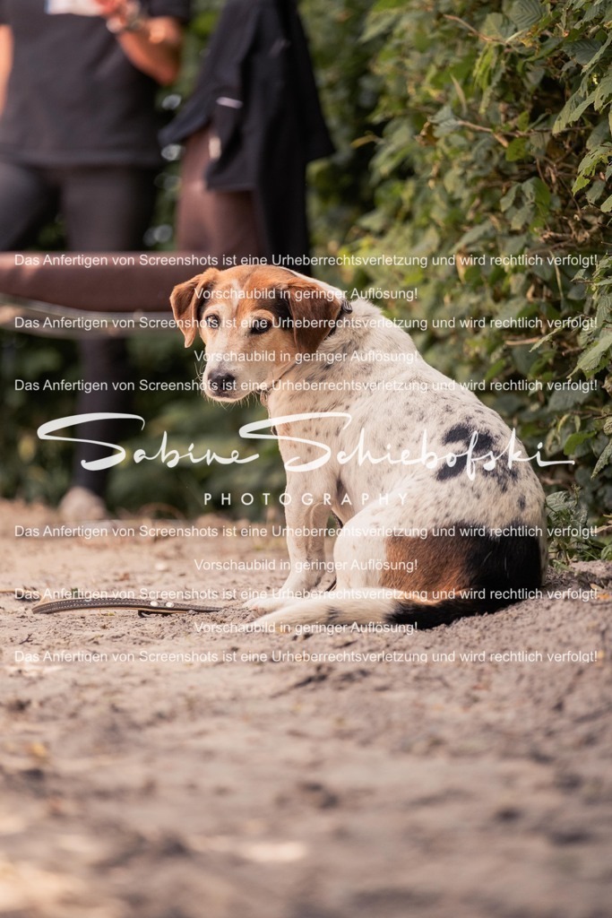 2025_05_31_DSCF3314 | People- und Tierfotografie, Imageaufnahmen, Veranstaltungsfotografie und Wandbilder aus der Natur ★ Made in Germany ✔️ Druck + Downloads ✔️ Naturfotografie in Top Qualität ★ schneller Versand, weltweite Lieferung! - Realisiert mit Pictrs.com