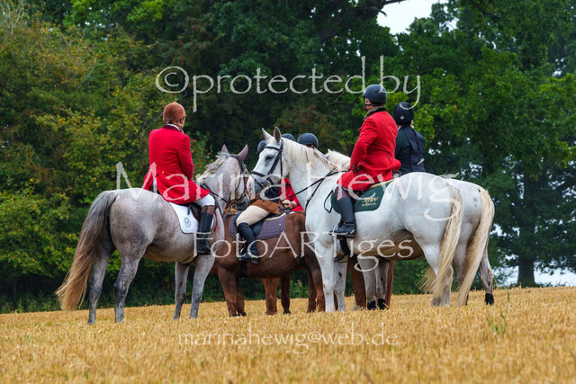 Jagd Kletkamp 26-02804_MarinaHewig | Fotografie, FotoArt, PferdesportArt, Pferdesportfotografie, Landschaftsfotografie, Reisefotografie, Reise, Pferde - Realisiert mit Pictrs.com