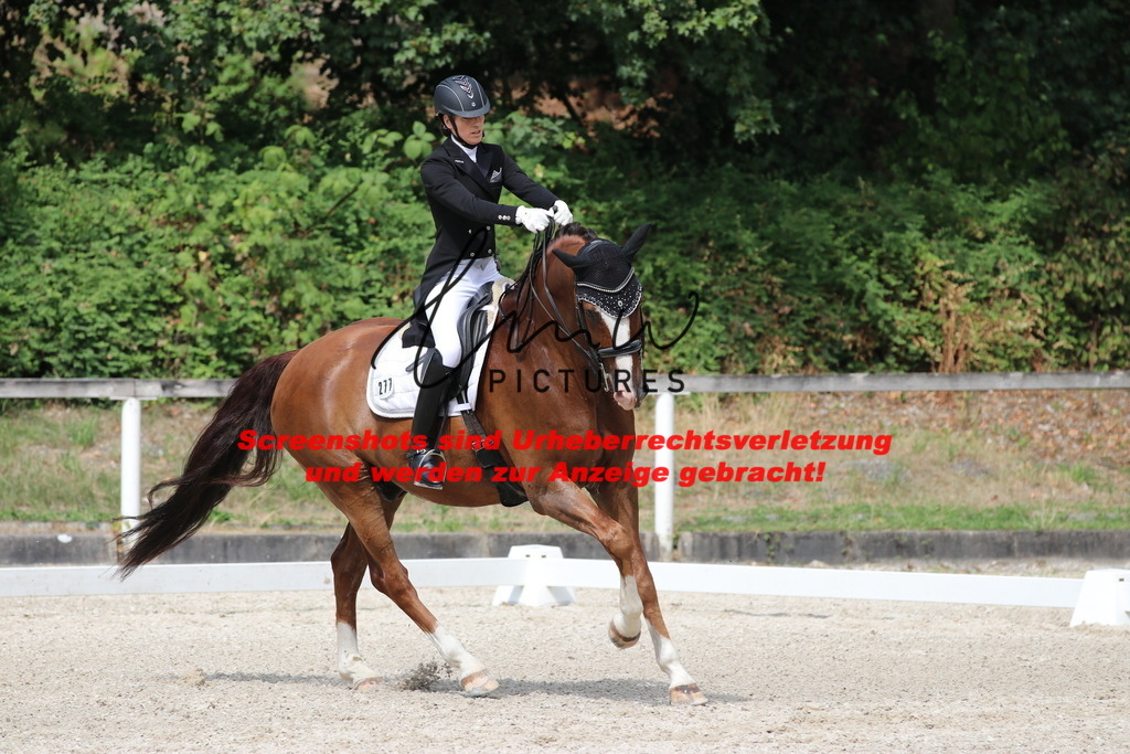 IMG_7134 | lmwpictures - Realisiert mit Pictrs.com