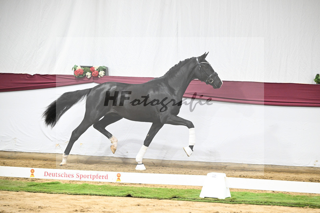 Kat-Nr. 50 Energy x Sezuan_Wilhelm u. Marvin Klausing GbR_47251874 | hf-fotografie - Realisiert mit Pictrs.com