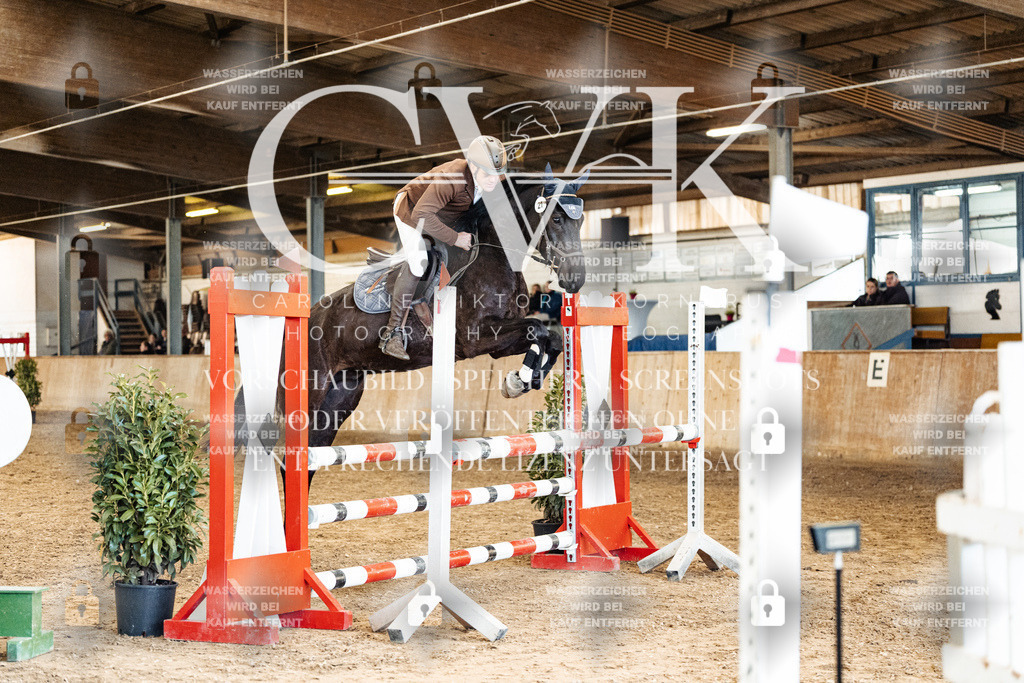 CK905329 | Turnierfotografie Pferdefotografie Trier Rheinland-Pfalz Pferdesport Reitsport Tierfotografie Sportfotografie Pferdevideo Pferdevideografie Equestrianvideography equestrianphotography  - Realisiert mit Pictrs.com