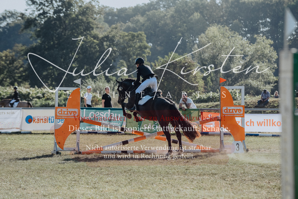 DSC_5559 | Pferde- und Turnierfotografie in Westsachsen. Pferdeportraits, Auftragszeichnungen und intuitive Kunst.