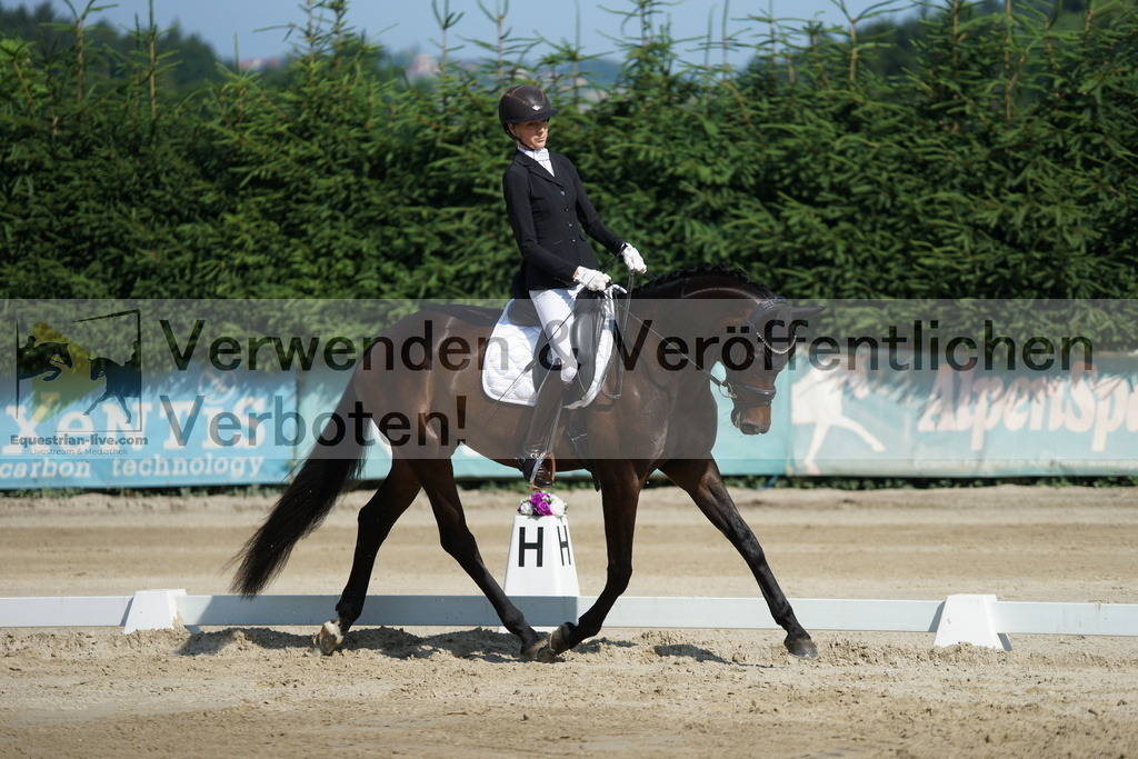 DSC01375 | equestrian-live-com