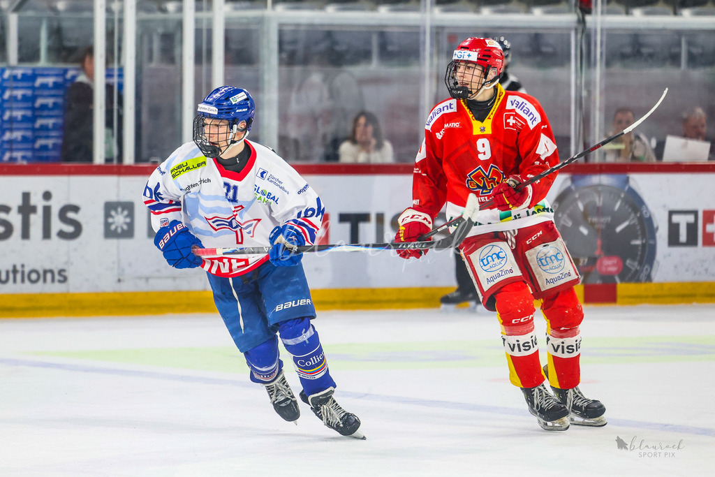 U18_EHCB vs EHCK_wb20260308-0903 | Sportbilder, Sportfotograf, Hochzeits- und Eventfotografin, Flugshows, Portraits und Tiershooting, Aviation, Downhill, Nationalleague, Swissleague, International