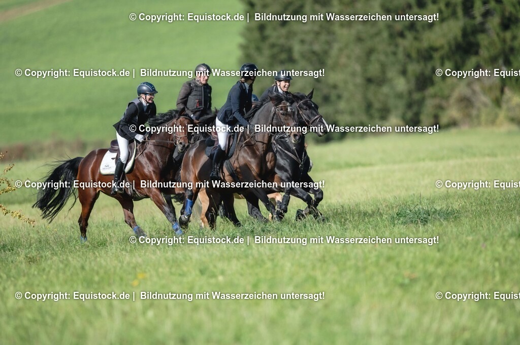 20251011_Jagd-Marbach_0261 | Foto: Thomas Hartig