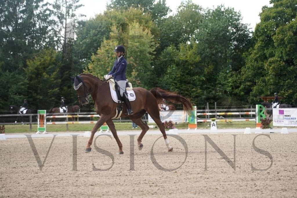 rveinoedsamstag (1334) | d.tail Visions - Shop - Realisiert mit Pictrs.com