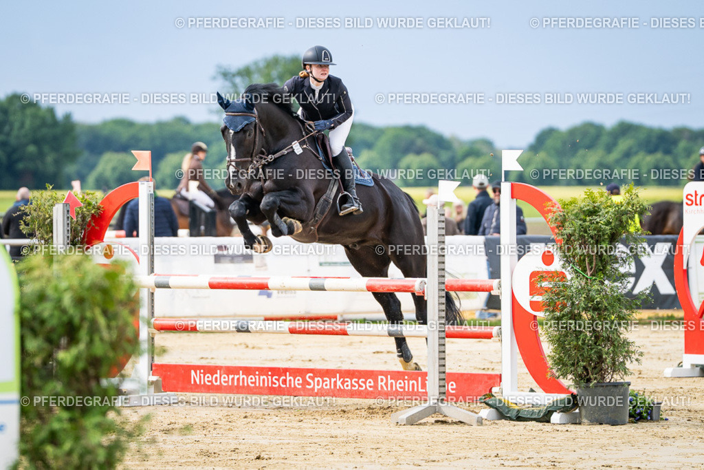 DSC03772 | Pferdegrafie