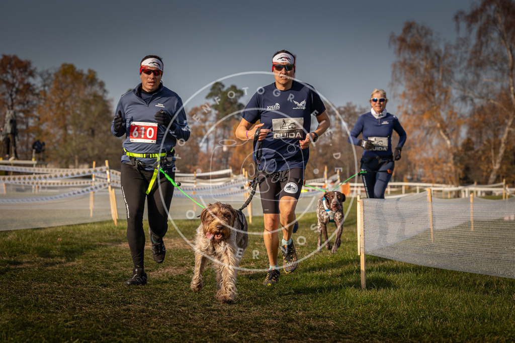 CaniXpix_0L8A0155 | Hundefotografie, Tierfotograf, Pfotenfotografie, Fotoshooting Hund, Hunde Portrait, Hundesport, Hundeportraits, Heideshooting, Hunde, Sportfotograf, Hundefotograf, Turnierhundsport, THS,  - Realisiert mit Pictrs.com