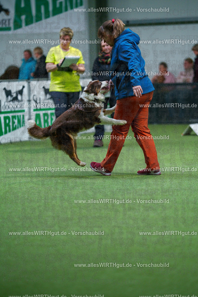 7R502911 | Professionelle Tierfotografie in Mönchengladbach von Daniel Wirth (allesWIRTHgut). Liebevolle & natürliche Bilder von Hunden & Katzen für unvergessliche Erinnerungen.