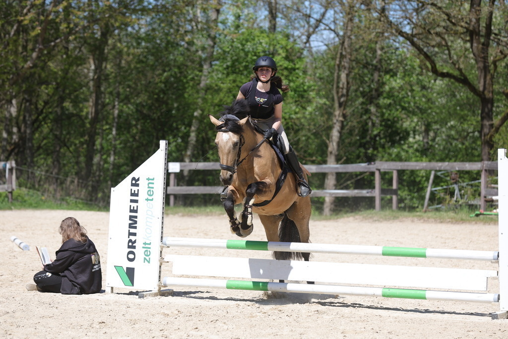 0P6A8855 | Willkommen bei Brunnmayr - Design & Fotografie – Ihrem Spezialisten für Reitturniere und Pferdeveranstaltungen in Oberösterreich, Salzburg und Bayern! Seit über 17 Jahren sind wir leidenschaftlich dabei.