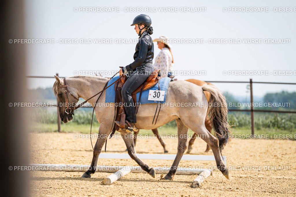 DSC09919 | Pferdegrafie