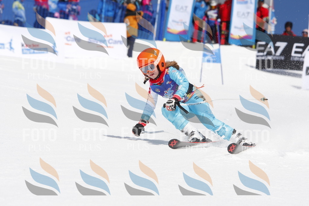 _W1G1381 | holidayphoto