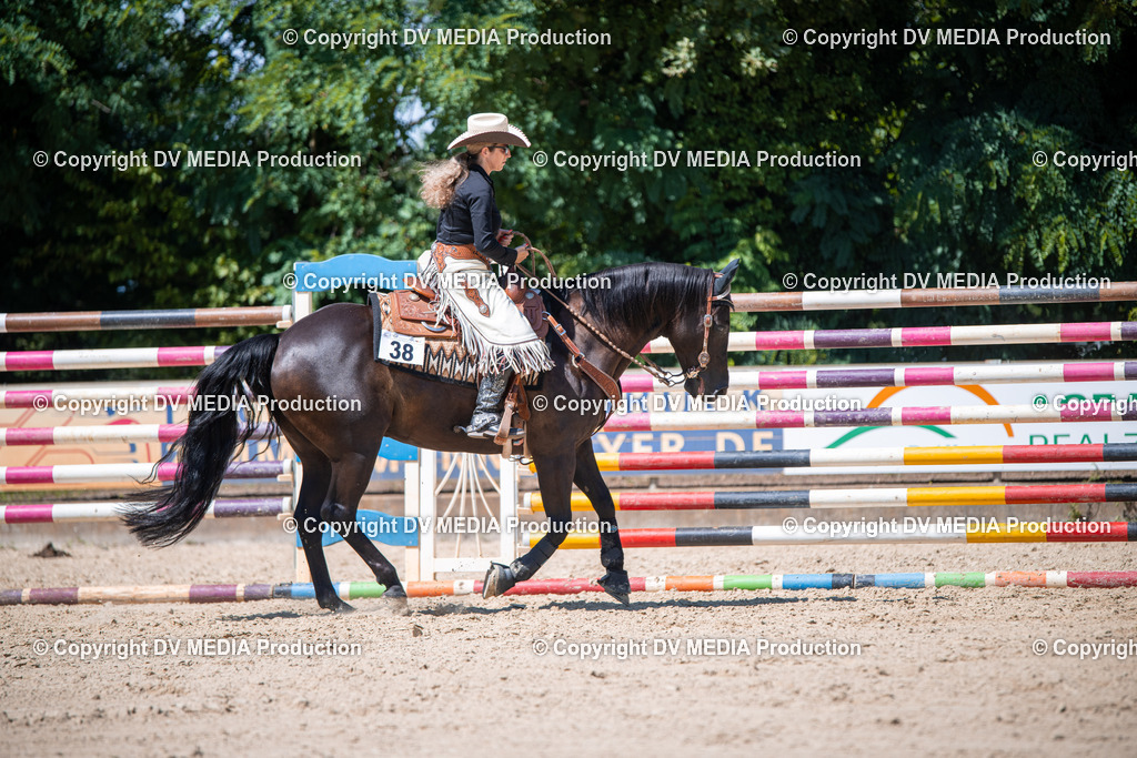 ZS1_1380 | dv-media-shop - Realisiert mit Pictrs.com