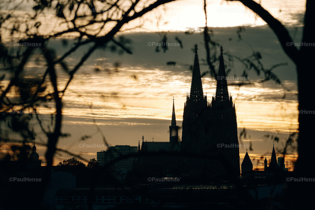 20221108_PaulHense_S0012_DSC04402 | paulhense - Realisiert mit Pictrs.com