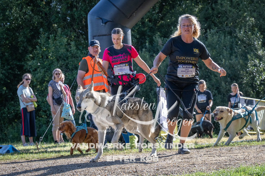 1000_ZZ97681 | kk-dogfotos