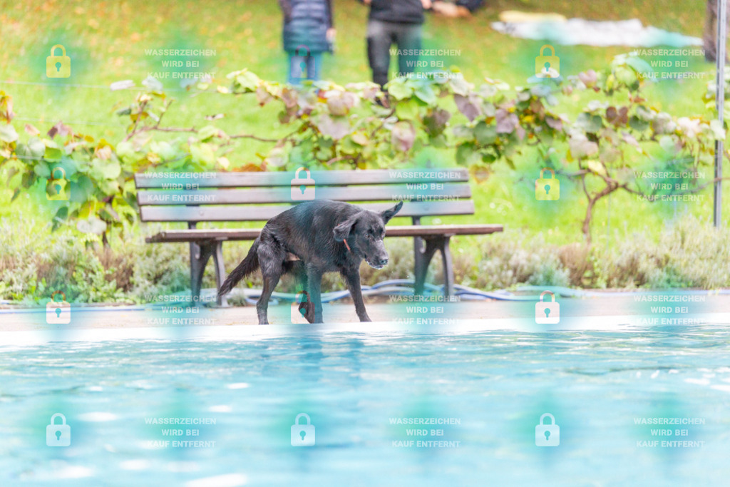 _HP_7285_1000o | HetPix, HetPix Fotodesign, Fotografie, Fotodesign, Webshop, Sportfotografie, Portraitfotografie, Onlineshop, Sportfotografie, Polch, Motorsportfotografie, Eventfotografie