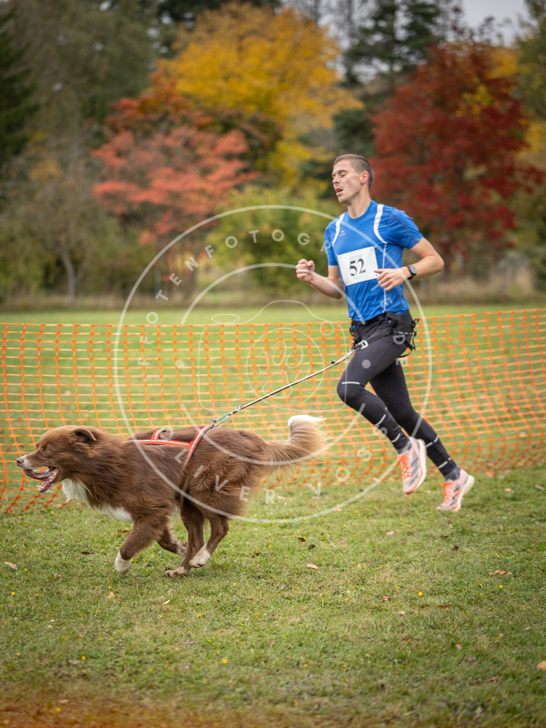 Pfotenfotografie_DV3A2518 | Hundefotografie, Tierfotograf, Pfotenfotografie, Fotoshooting Hund, Hunde Portrait, Hundesport, Hundeportraits, Heideshooting, Hunde, Sportfotograf, Hundefotograf, Turnierhundsport, THS,  - Realisiert mit Pictrs.com