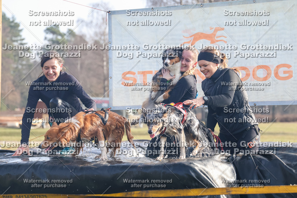 Dog Paparazzi - Strongdog North Mrz26-299 | Dog Paparazzi Jeanette Grottendiek Fotografie & Videografie - Realisiert mit Pictrs.com