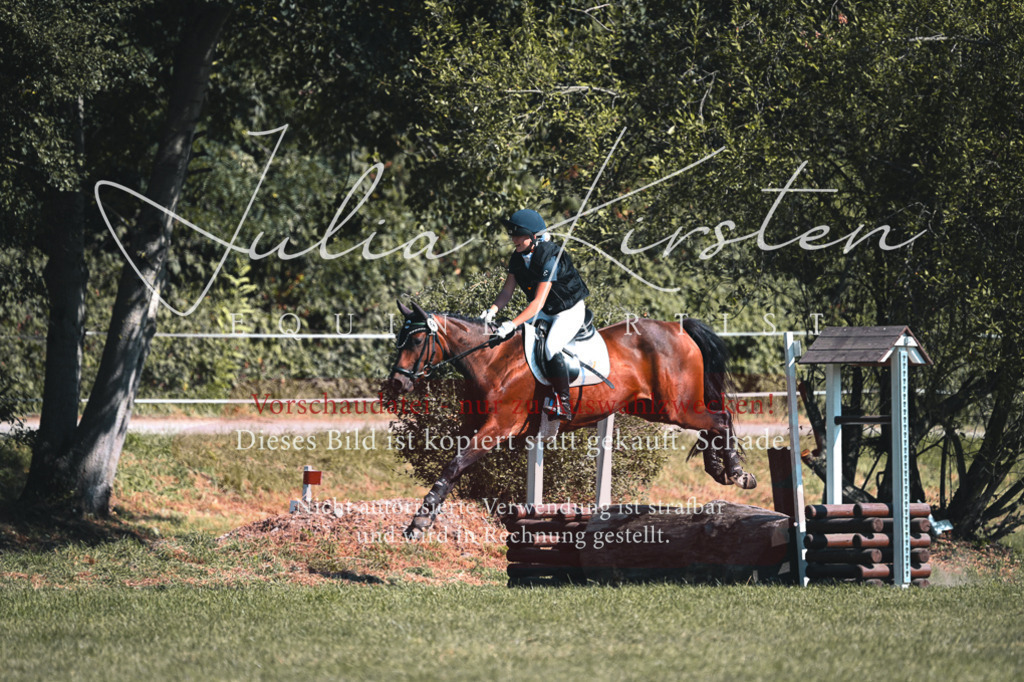DSC_7854 | Pferde- und Turnierfotografie in Westsachsen. Pferdeportraits, Auftragszeichnungen und intuitive Kunst.