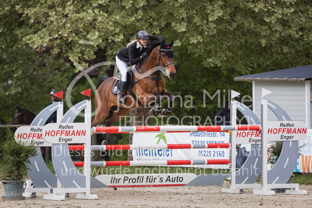 250504_SpengeW_M2-Spr-431 | Deine schönsten Turniermomente als professionelle Fotos! Entdecke hochwertige Pferdesport-Fotografie im Online-Shop. Jetzt Fotos finden & bestellen!