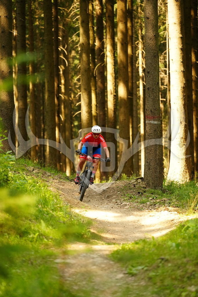 FC103088 | Fotogalerie der Treibjagd im Dunkelwald - Dein MTB Etappenrennen im Erzgebirge - Realisiert mit Pictrs.com