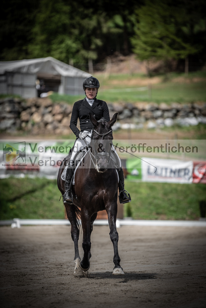 DSC_1629 | equestrian-live-com
