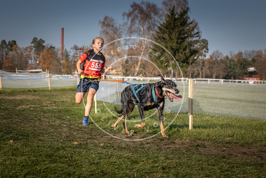 CaniXpix_0L8A9139 | Hundefotografie, Tierfotograf, Pfotenfotografie, Fotoshooting Hund, Hunde Portrait, Hundesport, Hundeportraits, Heideshooting, Hunde, Sportfotograf, Hundefotograf, Turnierhundsport, THS,  - Realisiert mit Pictrs.com