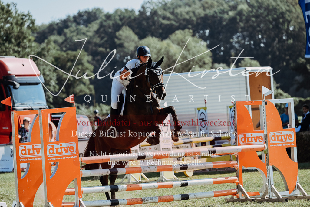 DSC_5963 | Pferde- und Turnierfotografie in Westsachsen. Pferdeportraits, Auftragszeichnungen und intuitive Kunst.