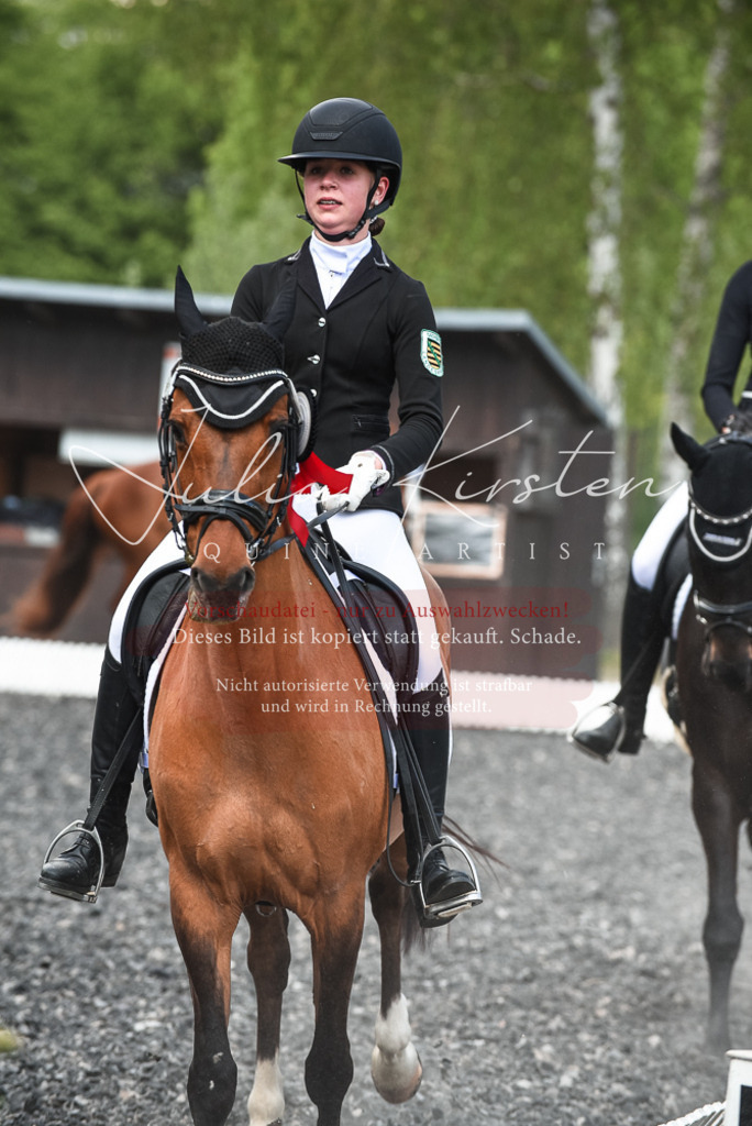 DSC_9099 | Pferde- und Turnierfotografie in Westsachsen. Pferdeportraits, Auftragszeichnungen und intuitive Kunst.