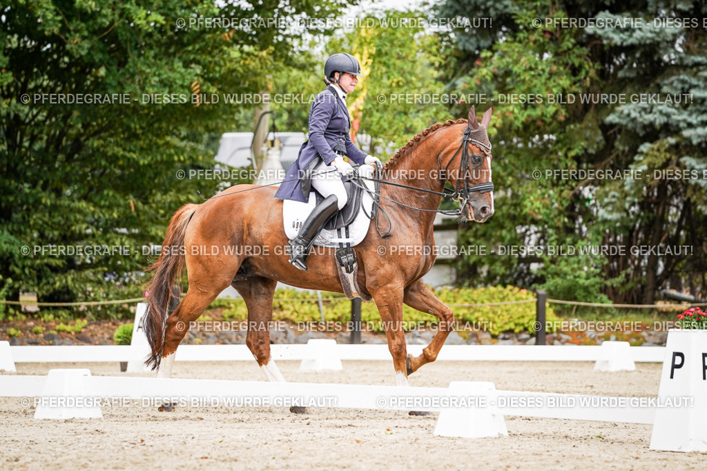 DSC04926 | Pferdegrafie