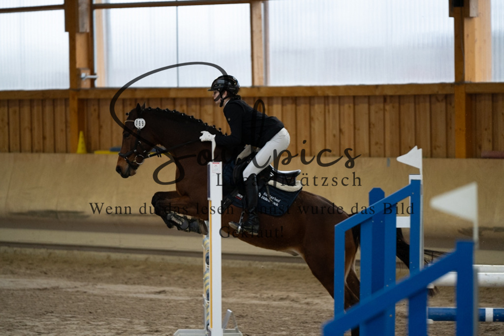 A7V00748 | Pferdefotograf