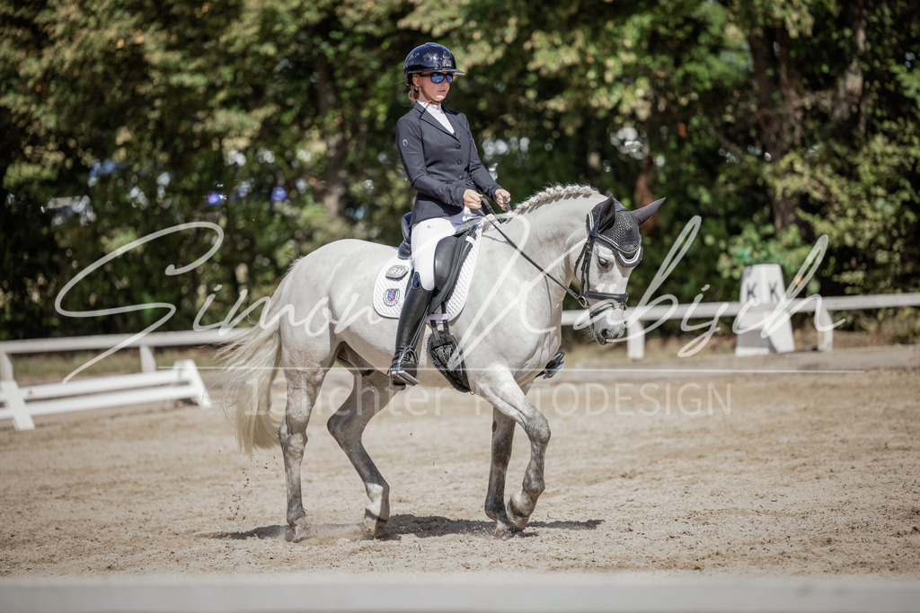 20250906-_3LI5595 | Tierfotografie Pferde, Hunde, Katzen, Haustiere.
Turnierfotografie Reitturniere, Reiten, Springreiten, Dressur in Hanau, dem Main-Kinzig-Kreis und dem Rhein-Main- Gebiet um Frankfurt
