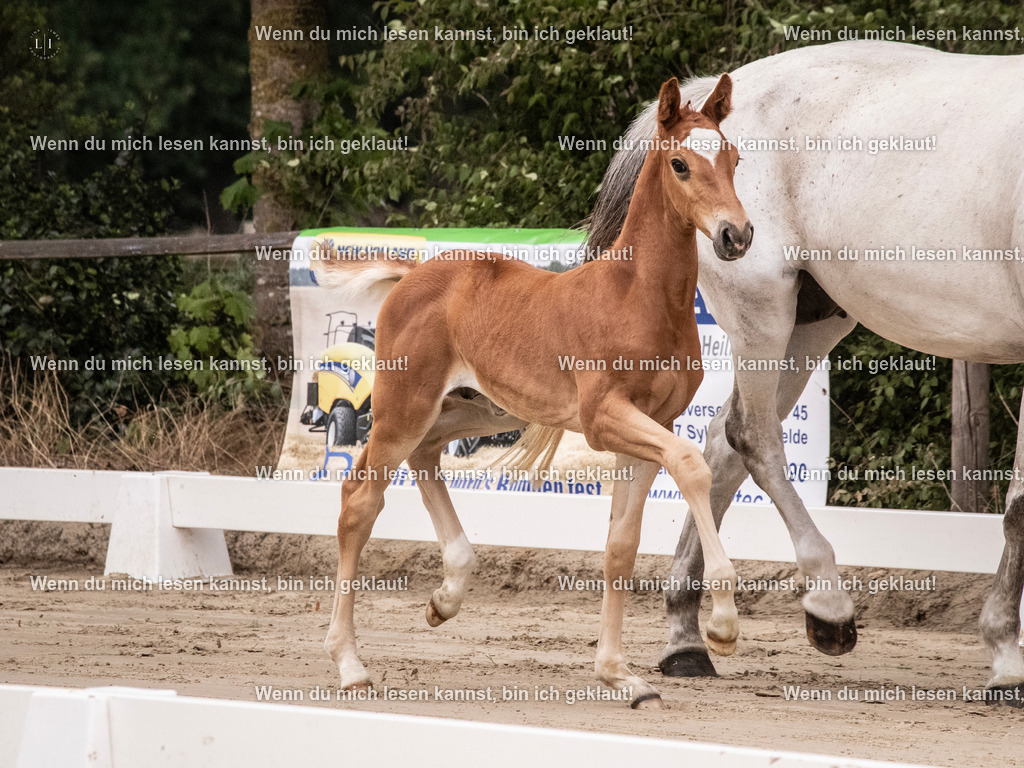 A10I9467 | photographylinaismer - Realisiert mit Pictrs.com