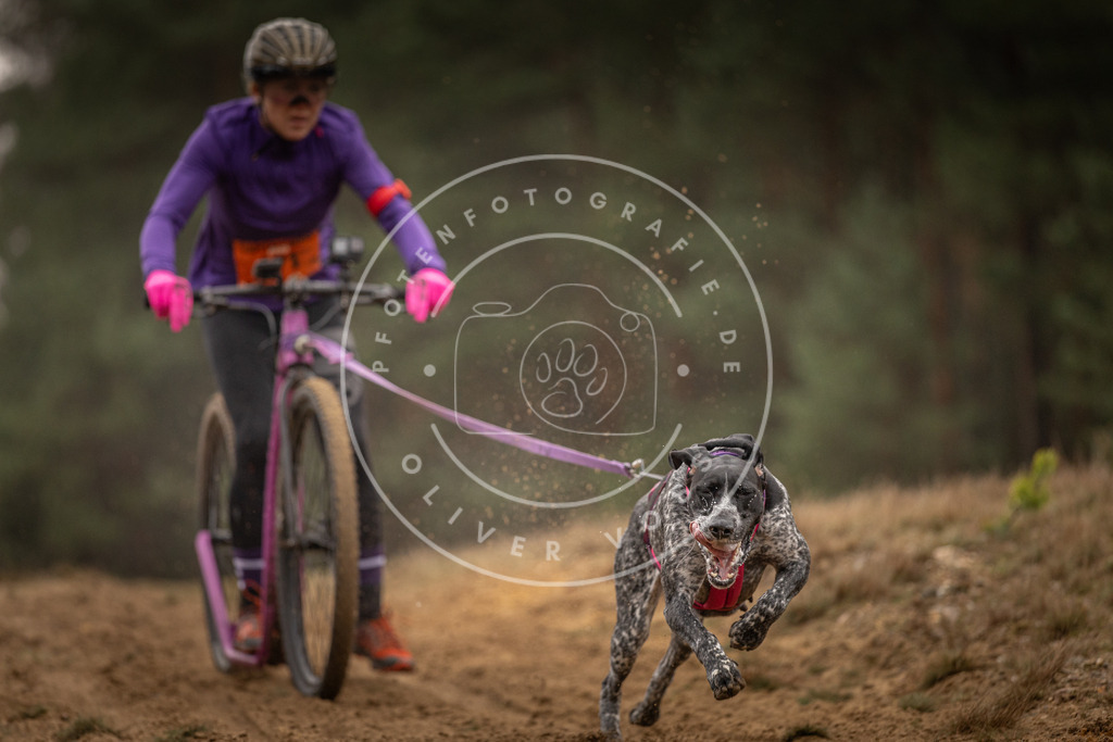 Pfotenfotografie_DV3A4523 | Hundefotografie, Tierfotograf, Pfotenfotografie, Fotoshooting Hund, Hunde Portrait, Hundesport, Hundeportraits, Heideshooting, Hunde, Sportfotograf, Hundefotograf, Turnierhundsport, THS,  - Realisiert mit Pictrs.com