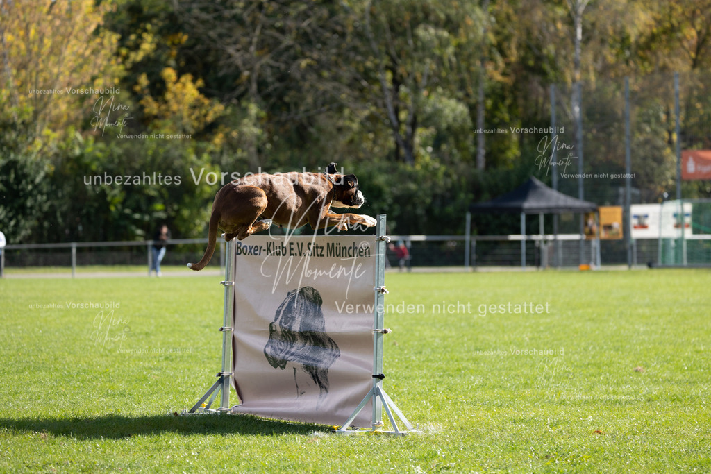 _16A6935 | Einzigartige Fotos von Hunden & Menschen –Actionfotos, Portraits, Vereinsaufnahmen & Paarshootings – authentisch, lebendig & mit Herz.