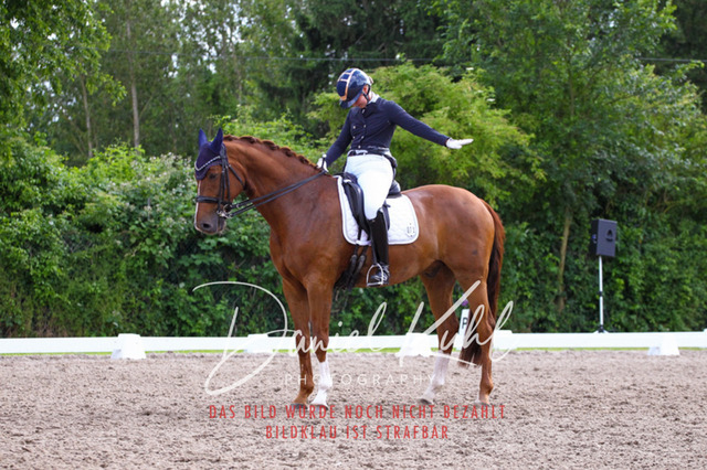 DKP41540 | Deine Turnierfotos vom Reitturnier online kaufen: Dressur, Springen & Siegerehrung. Professionelle Pferdefotografie aus dem Rheinland – als Download & Print.Alternative: Turnierfotograf für den Pferdesport: Finde deine Fotos von Dressur- und Springturnier