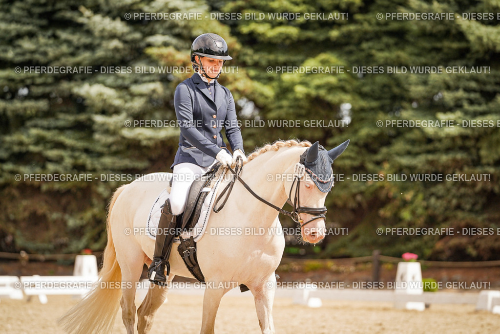 DSC01902 | Pferdegrafie