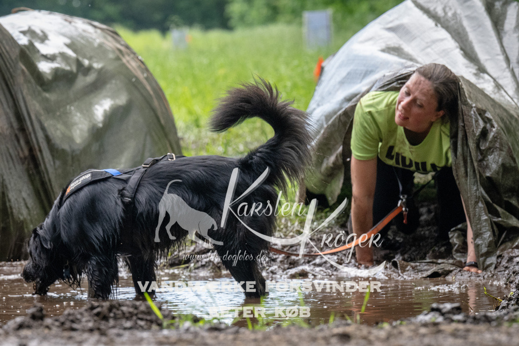 1110_ZZ91758 | kk-dogfotos