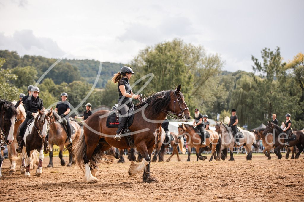 846A4028 | fotosleben - Realisiert mit Pictrs.com