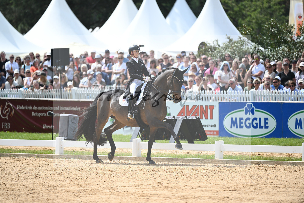 v Bredow-Werndl_TSF Dalera BB_12244392 | hf-fotografie - Realisiert mit Pictrs.com