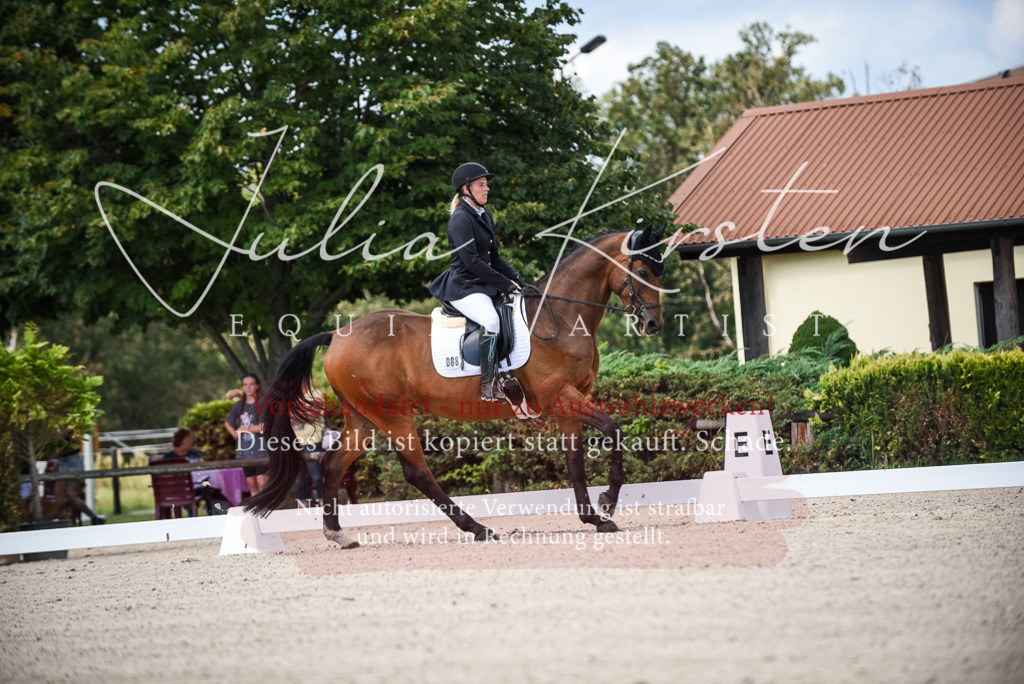 DSC_9020 | Pferde- und Turnierfotografie in Westsachsen. Pferdeportraits, Auftragszeichnungen und intuitive Kunst.
