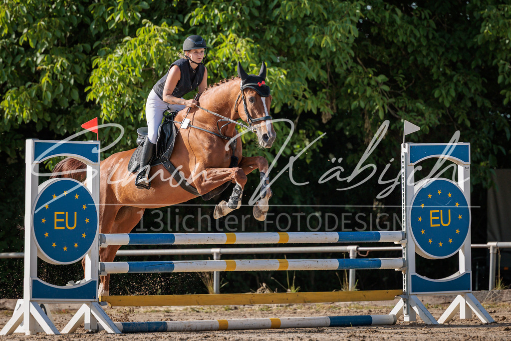 20260529-_3LI0105 | Tierfotografie Pferde, Hunde, Katzen, Haustiere.
Turnierfotografie Reitturniere, Reiten, Springreiten, Dressur in Hanau, dem Main-Kinzig-Kreis und dem Rhein-Main- Gebiet um Frankfurt