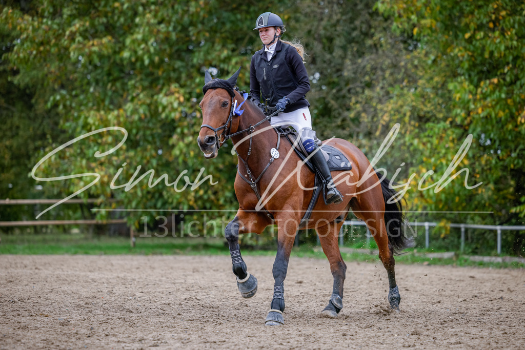 20251012-_3LI4836 | Tierfotografie Pferde, Hunde, Katzen, Haustiere.
Turnierfotografie Reitturniere, Reiten, Springreiten, Dressur in Hanau, dem Main-Kinzig-Kreis und dem Rhein-Main- Gebiet um Frankfurt