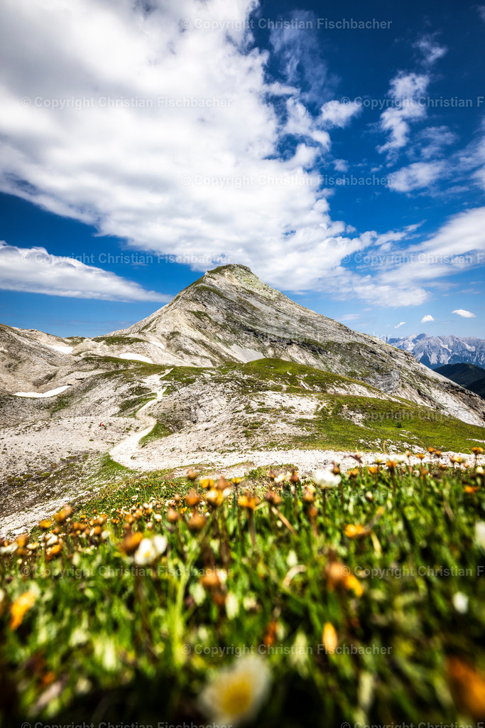 Fotos_Copyright_Chri_Fischbacher_Druck-535 | Bildershop Chri Fischbacher - Realisiert mit Pictrs.com